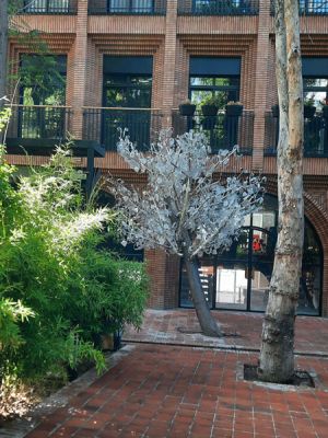 رستوران سین فرشته